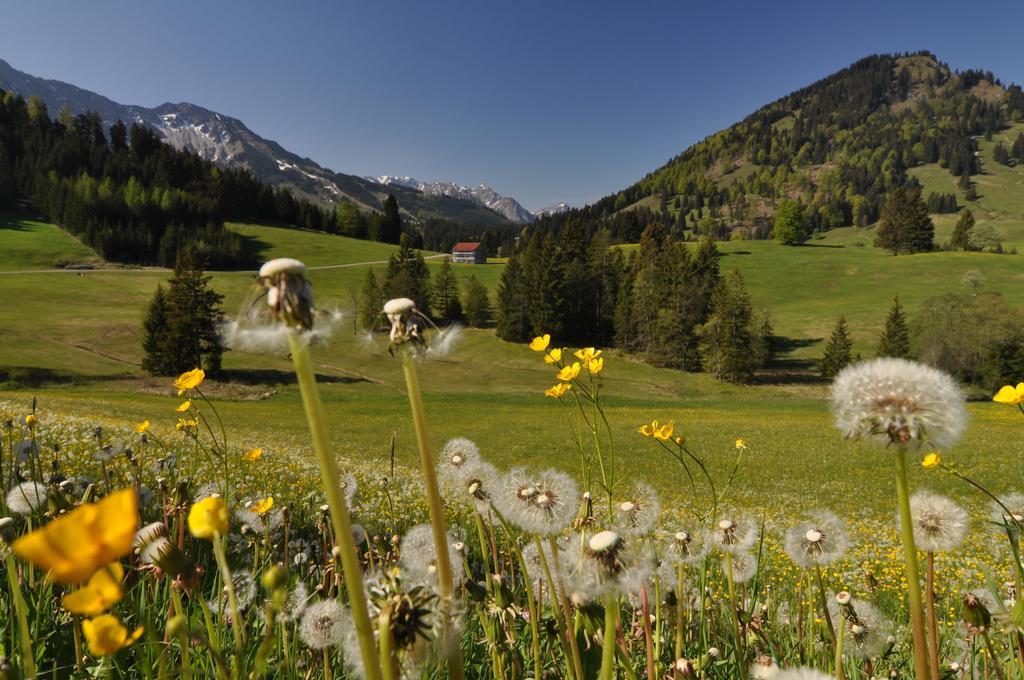 Landhotel Berghof Bad Hindelang Cameră foto